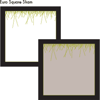 Caelum Shams