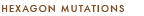 Diane Paparo Studio Custom Hexagon Mutation Design