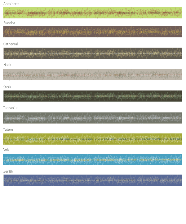 Border COlors