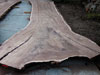 thumbnail of Item 2 Title
